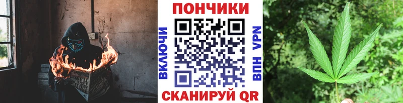 МЕФ Камышин