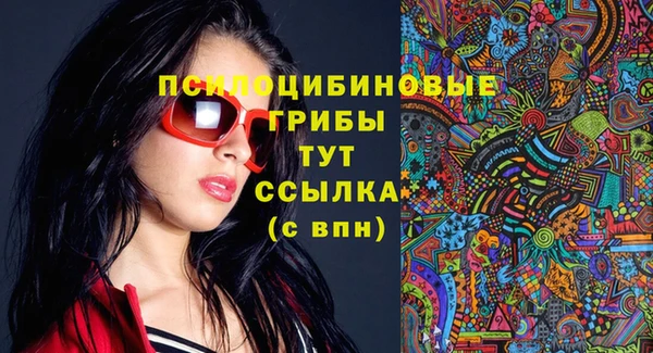 ECSTASY Алзамай