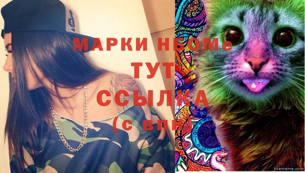 ECSTASY Алзамай