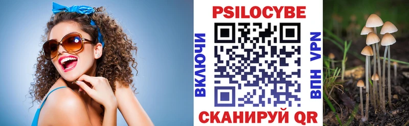 Псилоцибиновые грибы GOLDEN TEACHER  hydra как войти  Камышин 