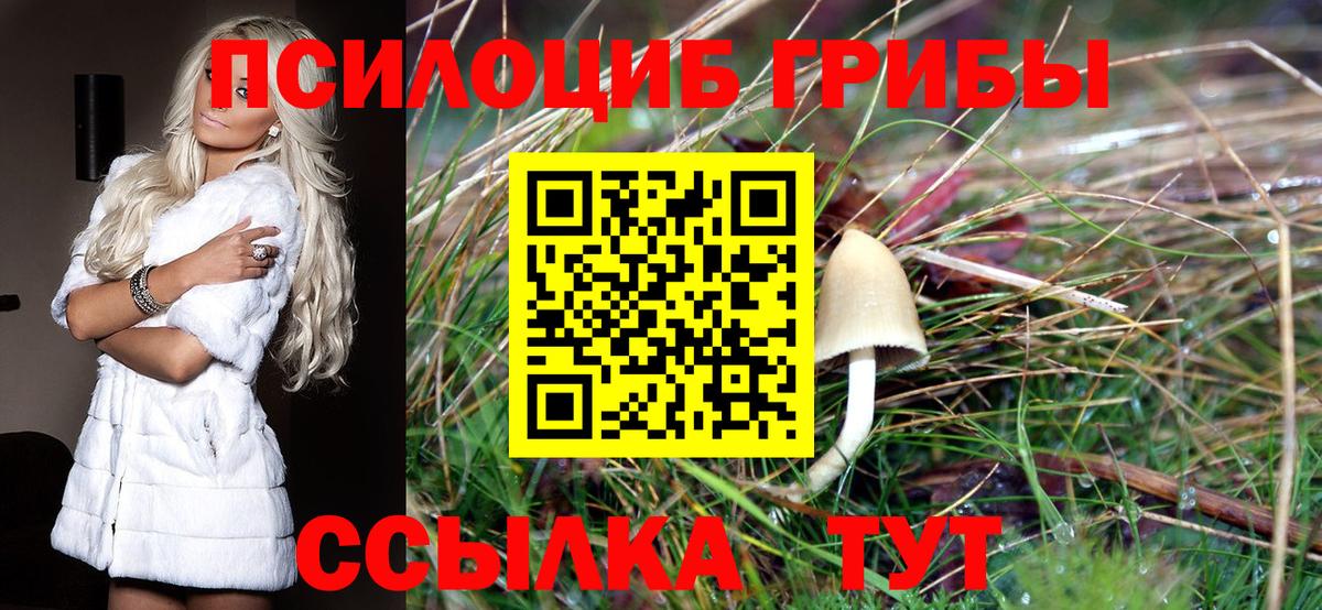Псилоцибиновые грибы прущие грибы Камышин